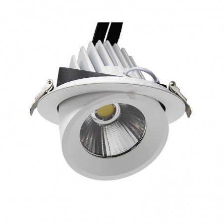 Foco Orientable 24º Empotrable LED 24W